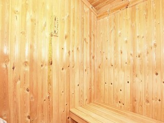 Ferienhaus Skiveren  29