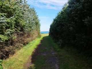 Vakantiehuis Skiveren  6