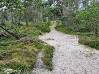 Holiday house Skiveren  22