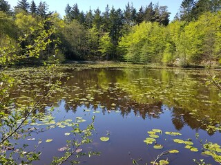 Maison de vacances Skiveren  20