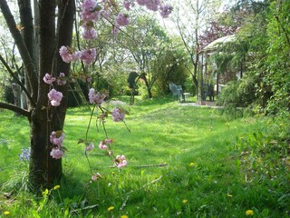 Holiday house La Roche-en-Ardenne Outdoor Recording 5