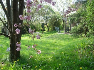 Vakantiehuis La Roche-en-Ardenne Buitenaudio-opname 2