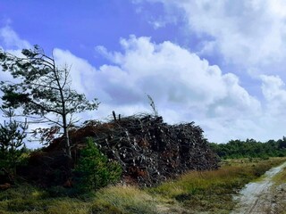 Casa de vacaciones Oksbøl  18