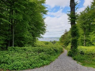 Maison de vacances Børkop  11