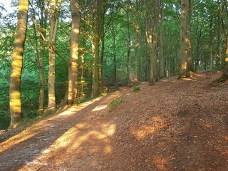 Vakantiehuis Børkop  12