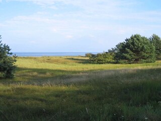 Casa de vacaciones Vaeggerløse  20