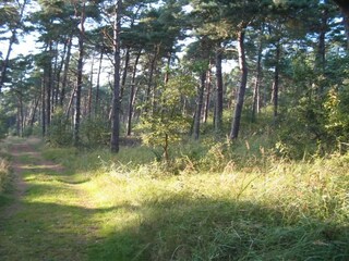 Vakantiehuis Vaeggerløse  16