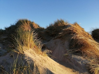 Ferienhaus Klegod  20