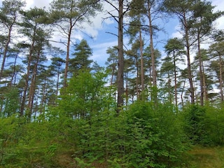 Holiday house Oksbøl  32