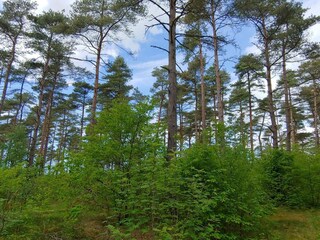 Casa de vacaciones Oksbøl  36