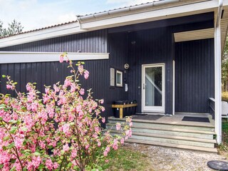 Ferienhaus Snogebæk Außenaufnahme 8