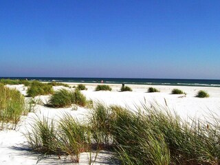 Casa de vacaciones Snogebæk  11