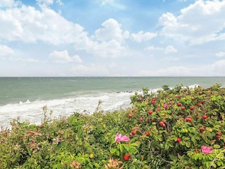 Casa per le vacanze Gilleleje  10