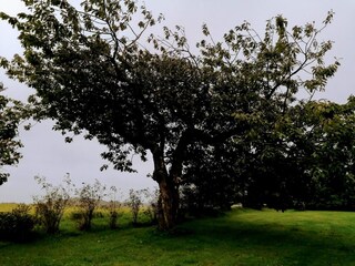 Vakantiehuis Løkken  16