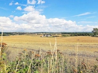 Appartement Millinge  9