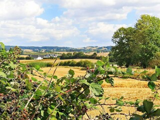 Appartement Millinge  12