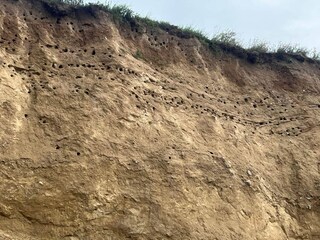 Casa per le vacanze Bagenkop  10