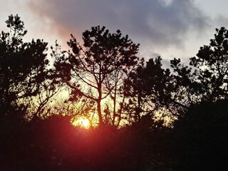 Maison de vacances Klitmøller  22