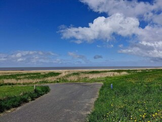 Ferienhaus Højer  21