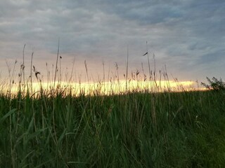 Maison de vacances Højer  31