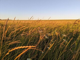 Holiday house Højer  21