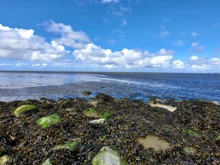 Casa de vacaciones Højer  30