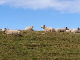 Holiday house Højer  28