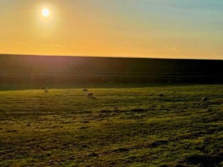 Vakantiehuis Højer  18