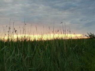 Ferienhaus Højer  13