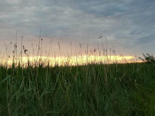 Holiday house Højer  21