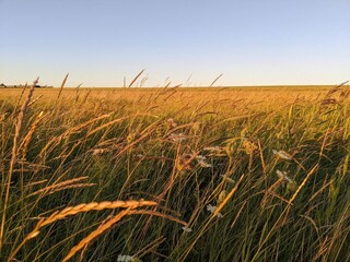Casa per le vacanze Højer  20