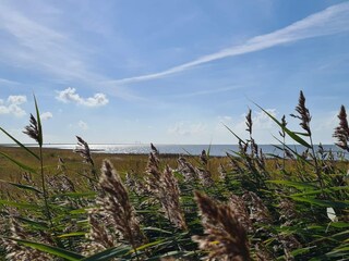 Holiday house Højer  34