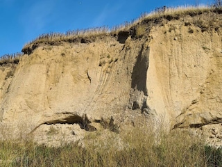 Ferienhaus Højer  30