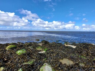 Vakantiehuis Højer  36