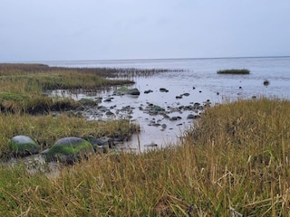 Ferienhaus Højer  34