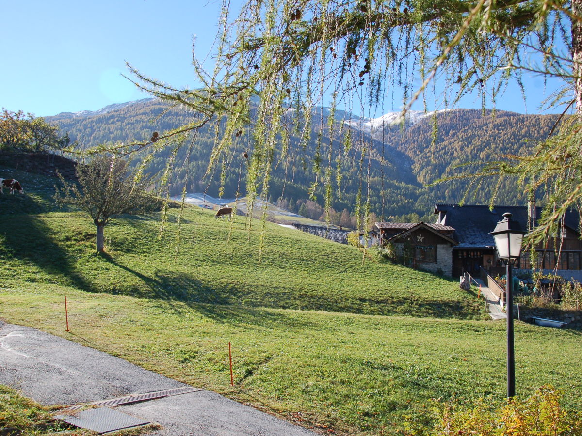 Blick Küchenfenster