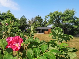 Maison de vacances Lønstrup  8