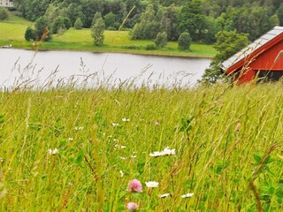 Casa de vacaciones Färgelanda Grabación al aire libre 2