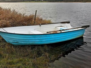 Maison de vacances Färgelanda  18