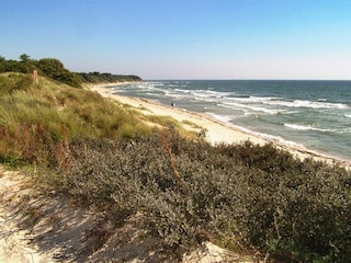 Holiday house Sømarken  8