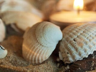 Vakantiehuis Vester Husby  32