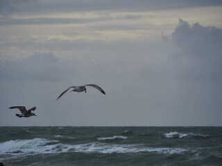 Vakantiehuis Vejlby  31