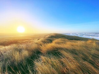 Maison de vacances Vejlby  33