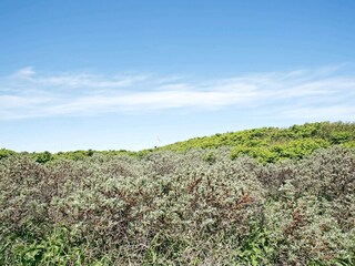 Casa per le vacanze Løkken  15