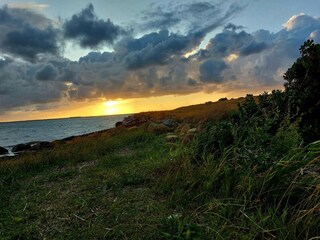 Ferienhaus Bork Havn  34