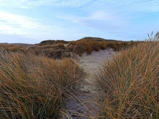 Casa per le vacanze Bork Havn  40