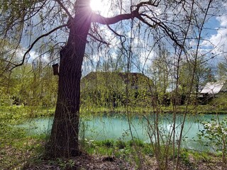 Sulzbach -Rosenberg Stadtpark 2