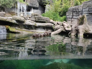 Casa per le vacanze Ebeltoft  38