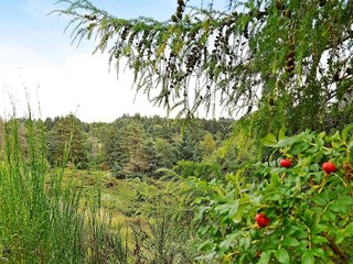 Maison de vacances Tranum Strand  9