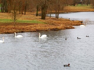 Vakantiehuis Otterndorf  22